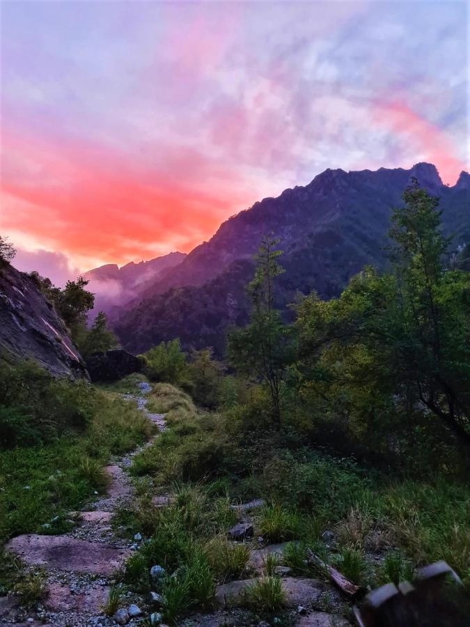Incantevole Casa Sul Fiume, Relax E Natura Ai Piedi Della Alpi Apuane Massa  Exteriör bild